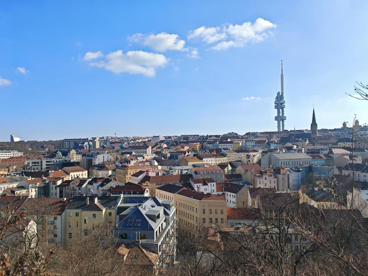 Flat In Zizkov -103- Praga